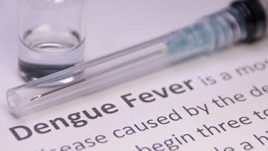 The Science of Recovery-How Propoelix Supports the Body Against Dengue Fever