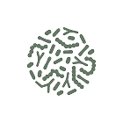 Microbiome